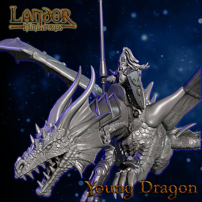 Young Dragon