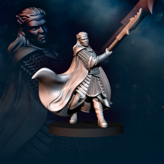 Bloody Elf King