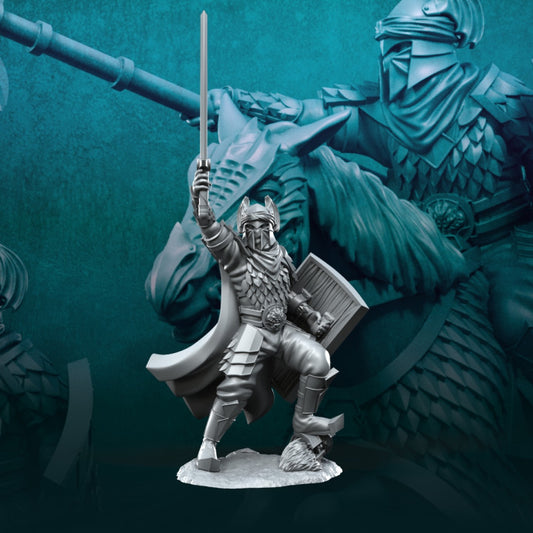 Captain of Dragon Army