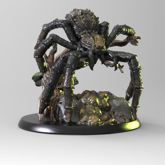 Giant Wolf Spider