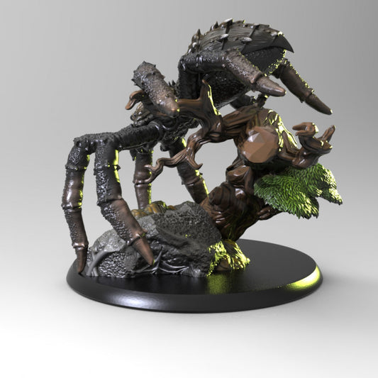 Giant Wolf Spider