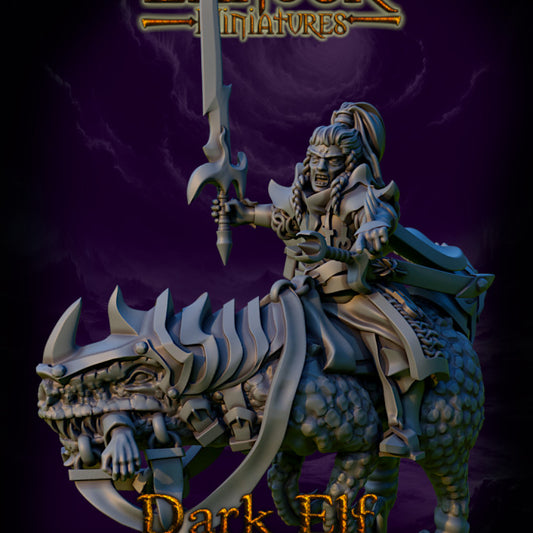 Dark Elf Commander
