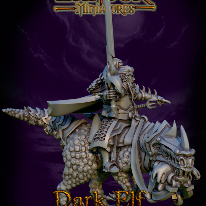 Dark Elf Commander