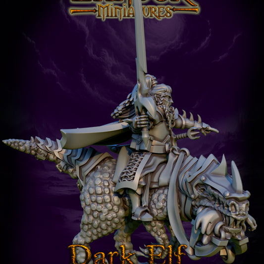 Dark Elf Commander