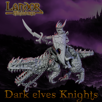 Dark Elves Knights