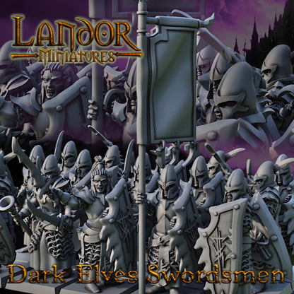 Dark Elves Swordsmen