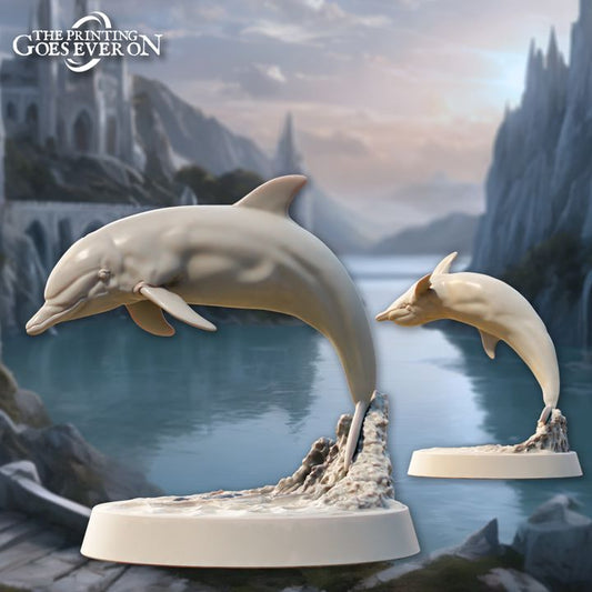Dolphins