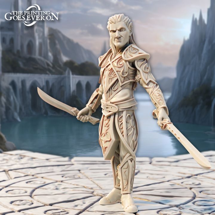 Elven Duellists