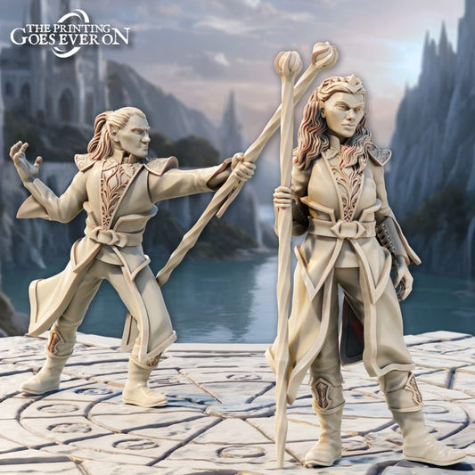 Elven Stormcaller Mages