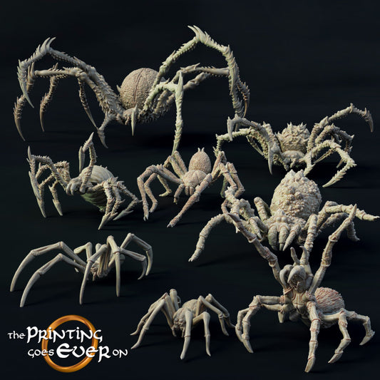 Giant Spiders