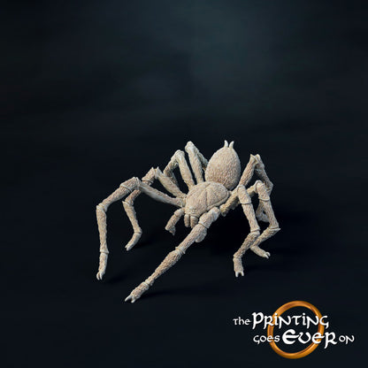 Giant Spiders