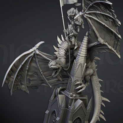 Ezekiel, Lord Necromancer on Flying Monster