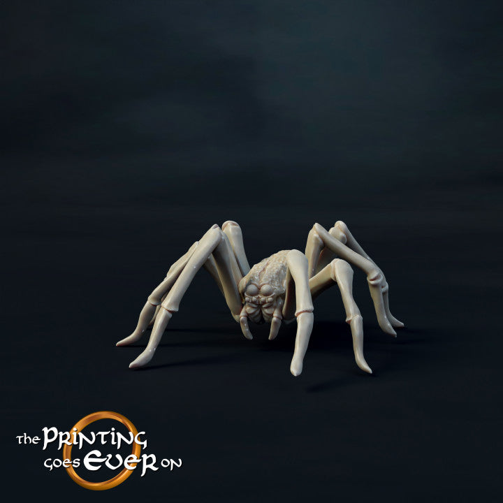 Giant Spiders