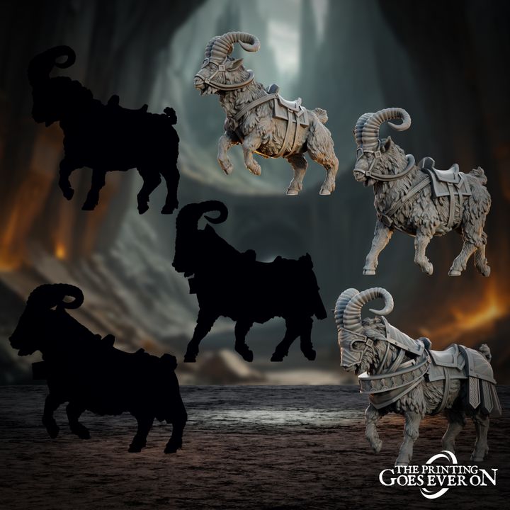 Dwarven Rangers