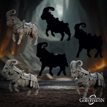 Dwarven Warriors