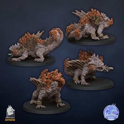 Salamanders