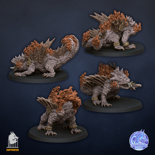 Salamanders