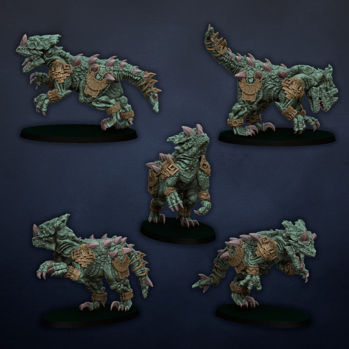 Raptor Pack