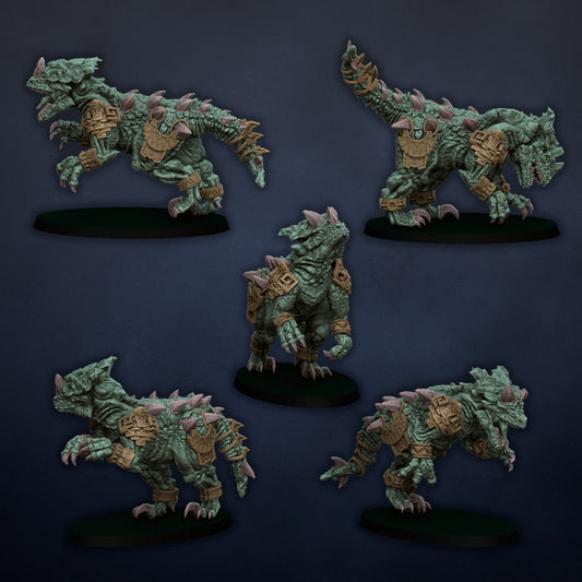 Raptor Pack
