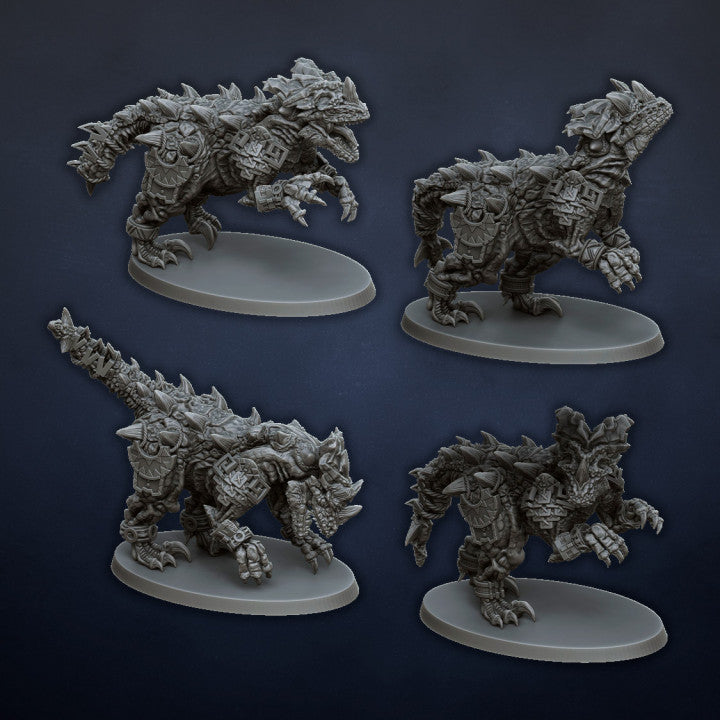 Raptor Pack