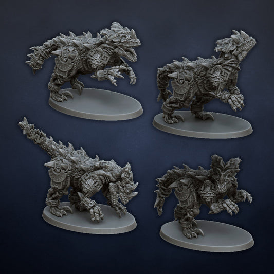Raptor Pack