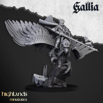 Robert the Gallia