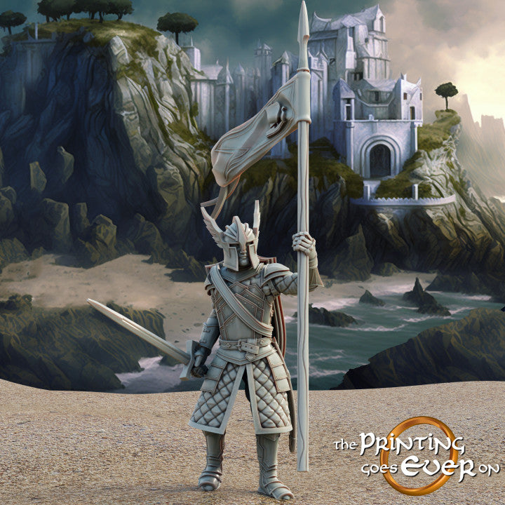 Swan Knights