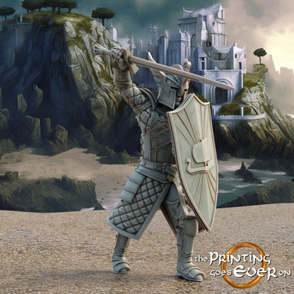 Swan Knights