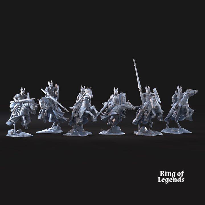 Swan Knight Riders