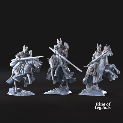 Swan Knight Riders