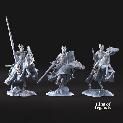 Swan Knight Riders