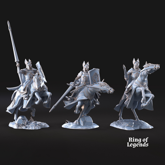 Swan Knight Riders