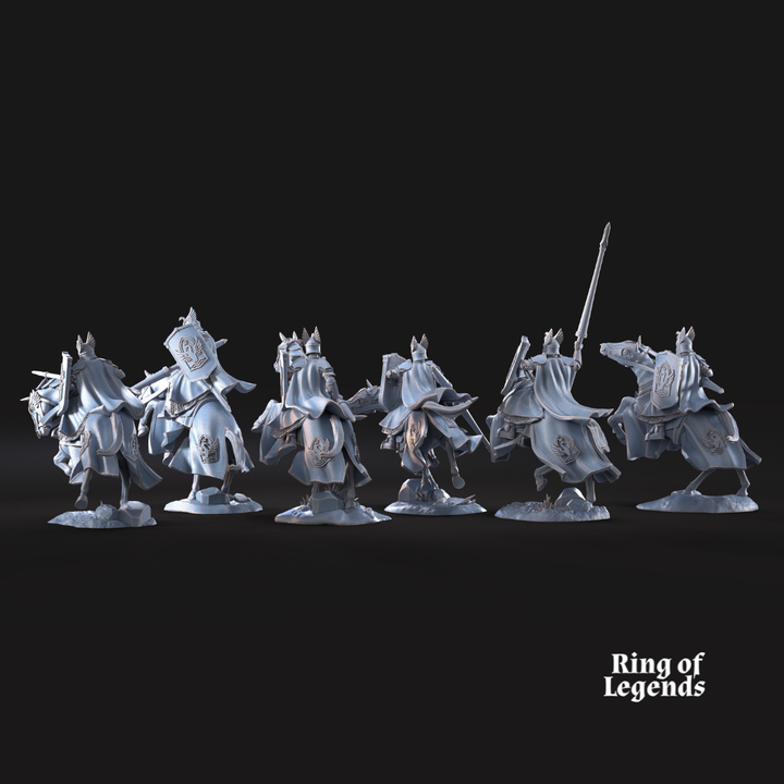 Swan Knight Riders