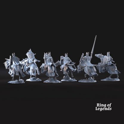 Swan Knight Riders