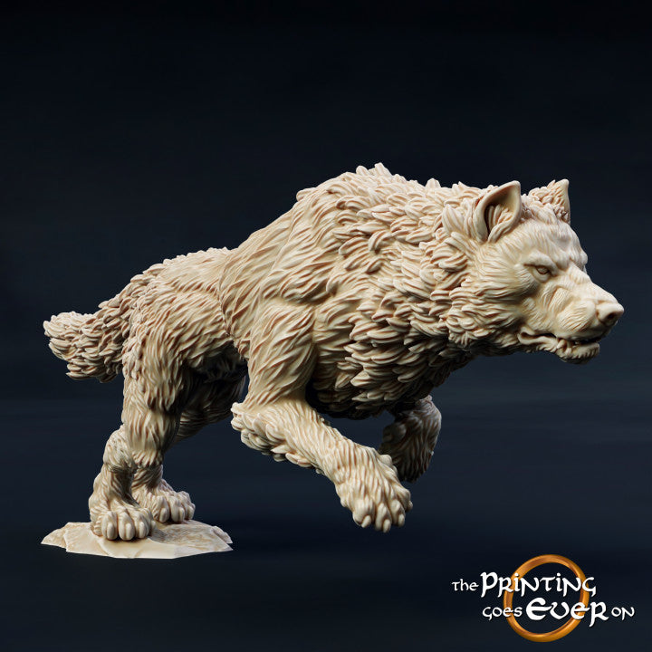 Morthan Warg