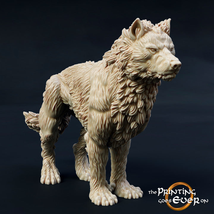 Morthan Warg