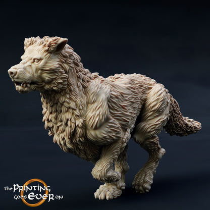 Morthan Warg