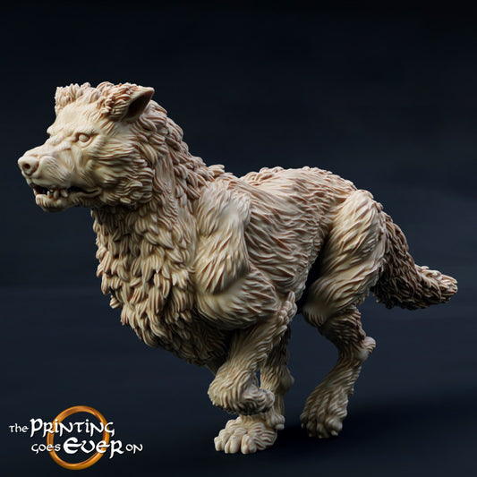 Morthan Warg