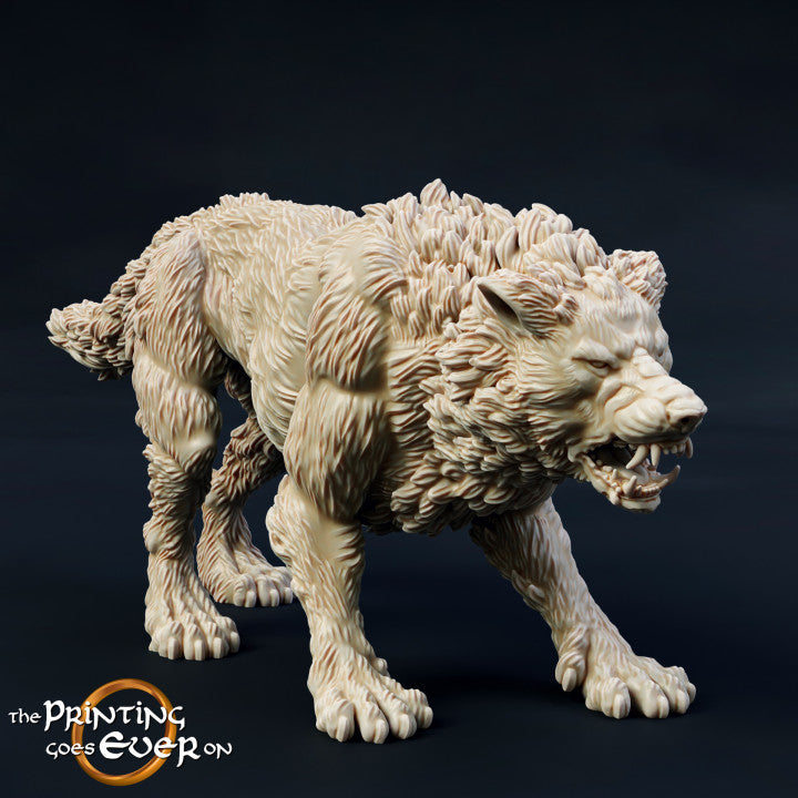Morthan Warg