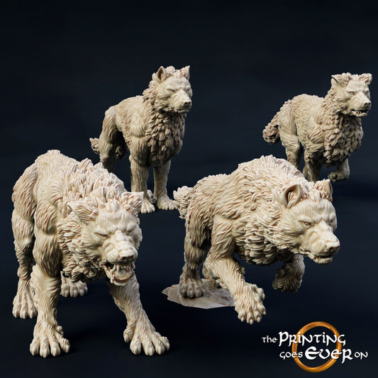 Orc Warg Riders