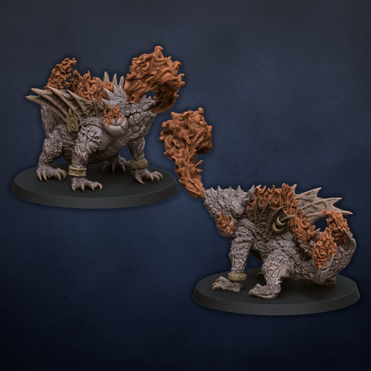Salamanders