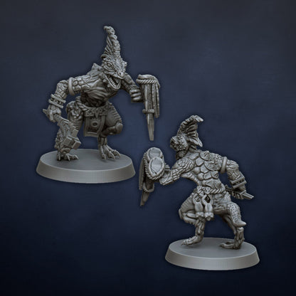 Skink Warriors