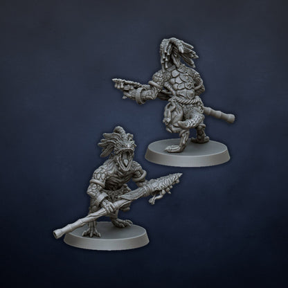 Skink Warriors