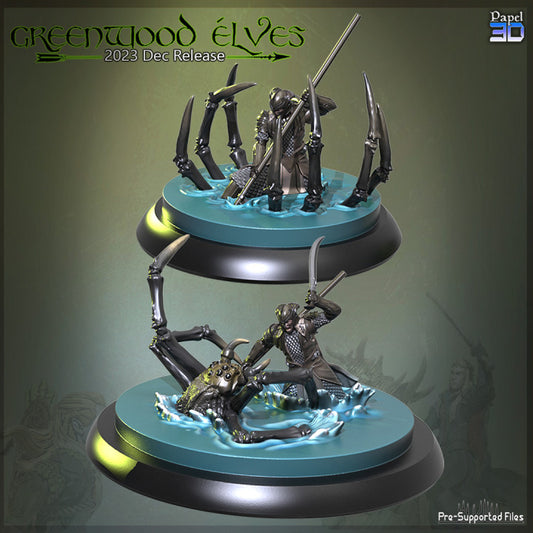 Greenwood Elves VS Spiders