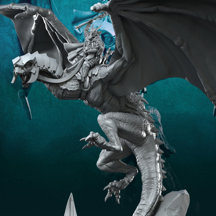 Wyvern with Dark Mage