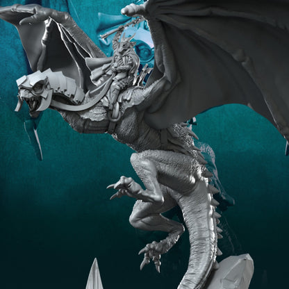 Wyvern with Dark Mage