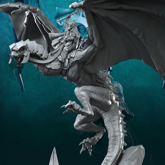 Wyvern with Dark Mage