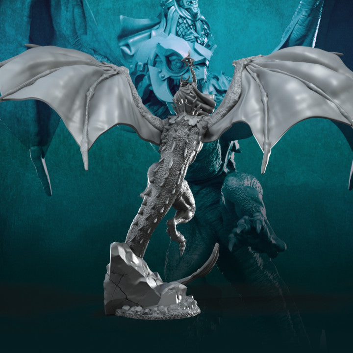 Wyvern with Dark Mage