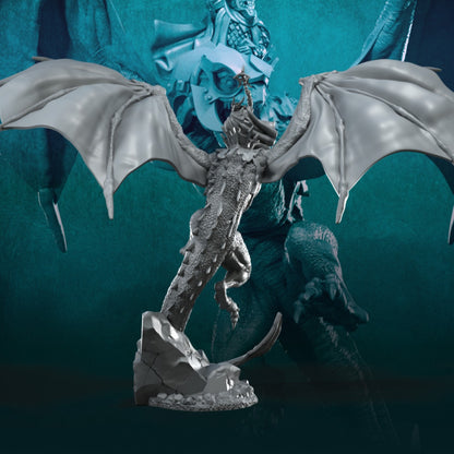 Wyvern with Dark Mage