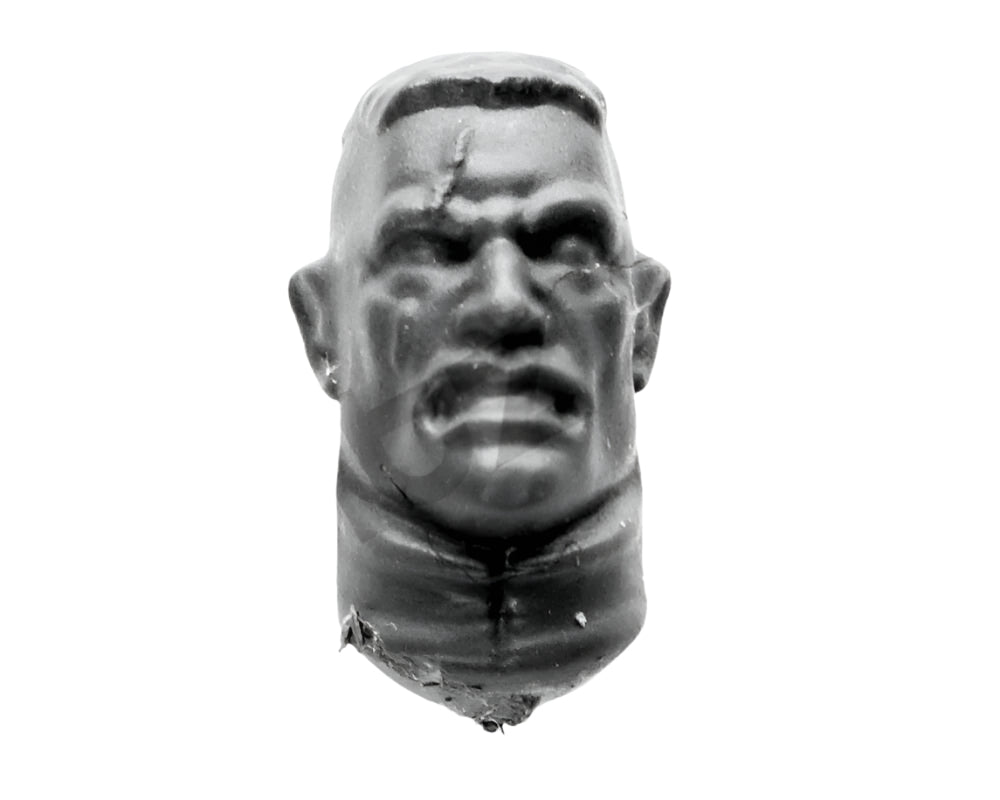 Astra Militarum Cadian Command Squad Head M